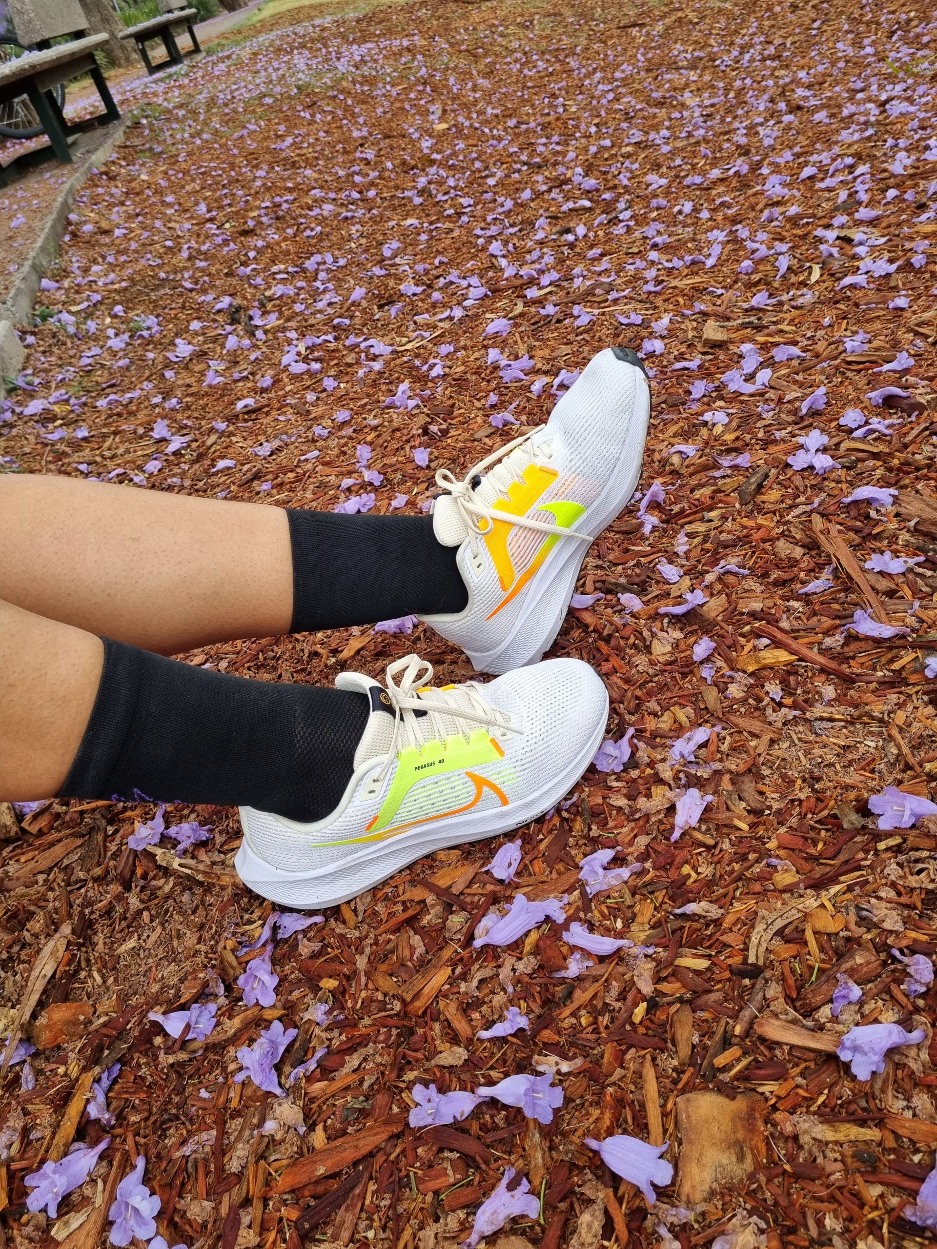 Pegasus 40